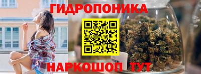 гидропоника Дубна