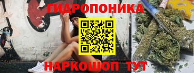 гидропоника Дубна