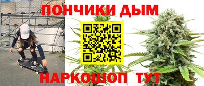 гидропоника Дубна