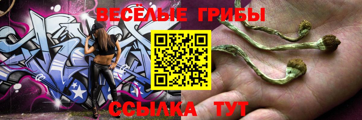 Псилоцибиновые грибы MAGIC MUSHROOMS Мирный
