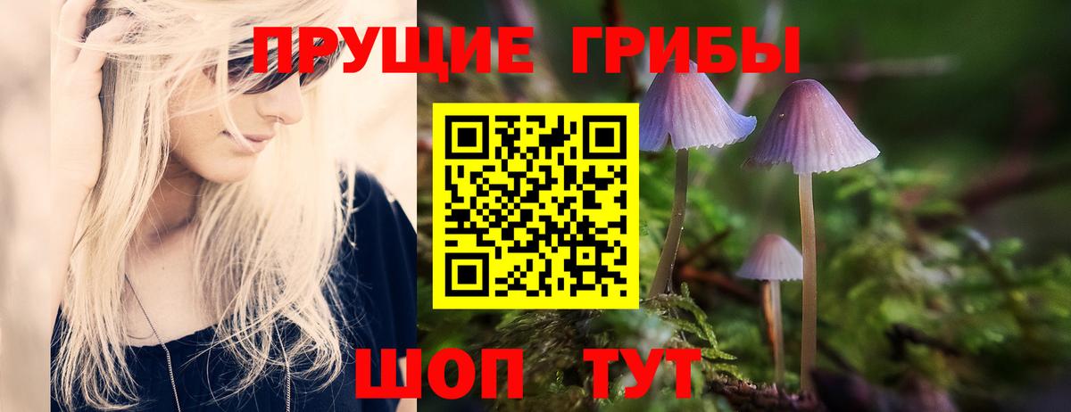 Галлюциногенные грибы MAGIC MUSHROOMS  Вход с VPN  Мирный 